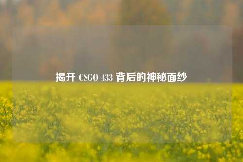 揭开 CSGO 433 背后的神秘面纱