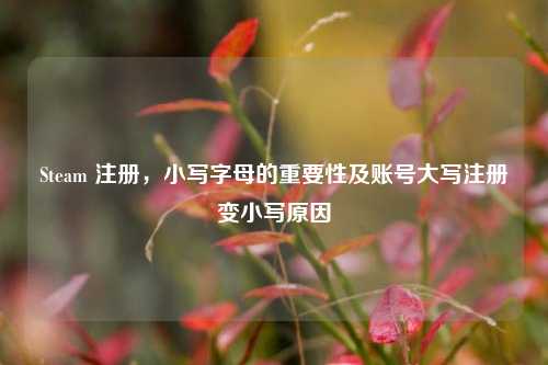 Steam 注册，小写字母的重要性及账号大写注册变小写原因