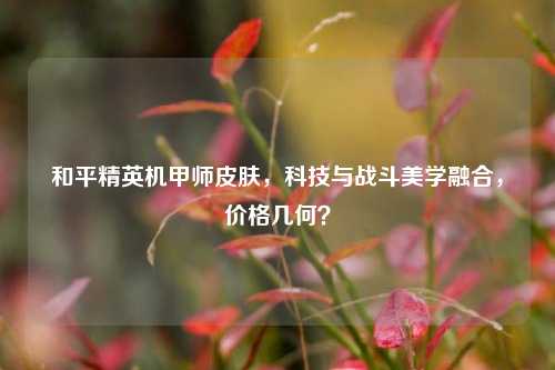和平精英机甲师皮肤，科技与战斗美学融合，价格几何？