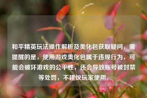 和平精英玩法操作解析及美化包获取疑问,需提醒的是,使用游戏美化包属于违规行为,可能会破坏游戏的公平性,还会导致账号被封禁等处罚,不建议玩家使用。