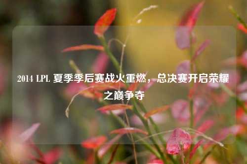 2014 LPL 夏季季后赛战火重燃，总决赛开启荣耀之巅争夺
