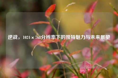 逆战,1024×768分辨率下的独特魅力与未来展望