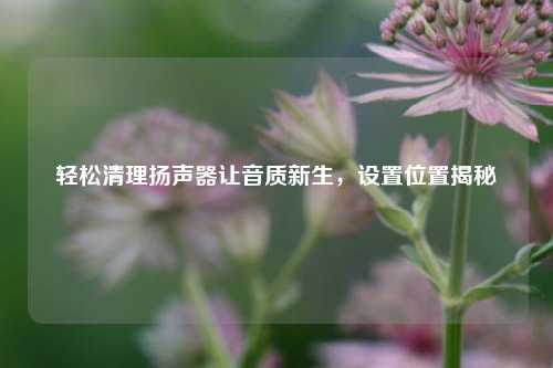 轻松清理扬声器让音质新生,设置位置揭秘