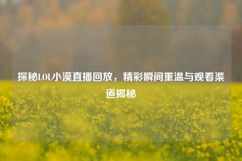 探秘LOL小漠直播回放,精彩瞬间重温与观看渠道揭秘