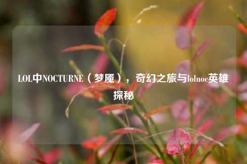 LOL中NOCTURNE(梦魇),奇幻之旅与lolnoc英雄探秘