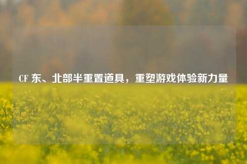 CF 东、北部半重置道具,重塑游戏体验新力量