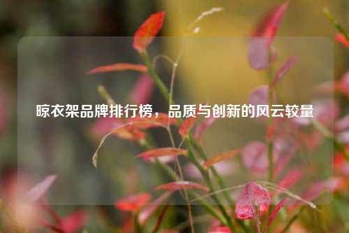晾衣架品牌排行榜,品质与创新的风云较量
