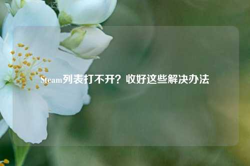 Steam列表打不开？收好这些解决办法
