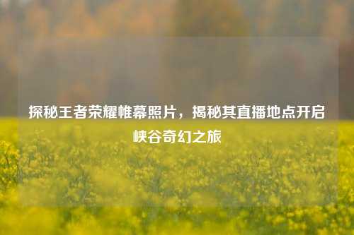 探秘王者荣耀帷幕照片,揭秘其直播地点开启峡谷奇幻之旅