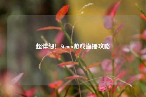 超详细！Steam游戏直播攻略