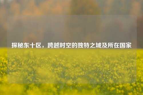 探秘东十区，跨越时空的独特之域及所在国家