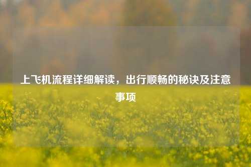 上飞机流程详细解读,出行顺畅的秘诀及注意事项