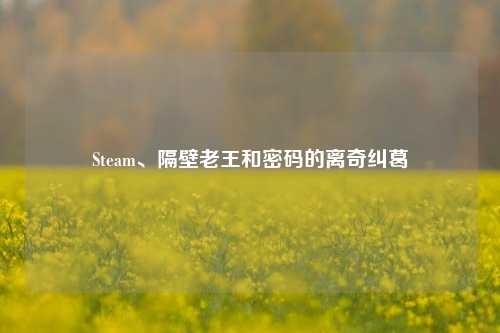 Steam、隔壁老王和密码的离奇纠葛