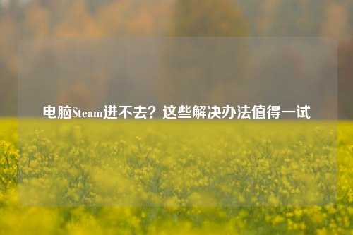 电脑Steam进不去？这些解决办法值得一试