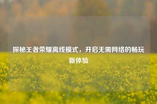 探秘王者荣耀离线模式，开启无需 *** 的畅玩新体验