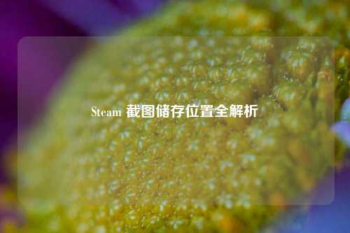 Steam 截图储存位置全解析