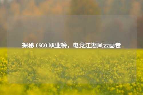 探秘 CSGO 职业榜，电竞江湖风云画卷