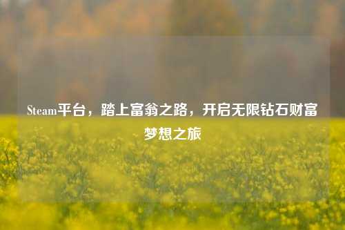 Steam平台,踏上富翁之路,开启无限钻石财富梦想之旅