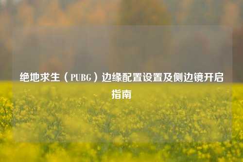 绝地求生(PUBG)边缘配置设置及侧边镜开启指南