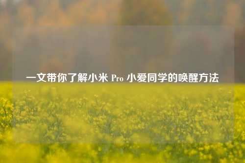 一文带你了解小米 Pro 小爱同学的唤醒 ***