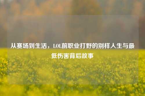 从赛场到生活,LOL前职业打野的别样人生与更低伤害背后故事
