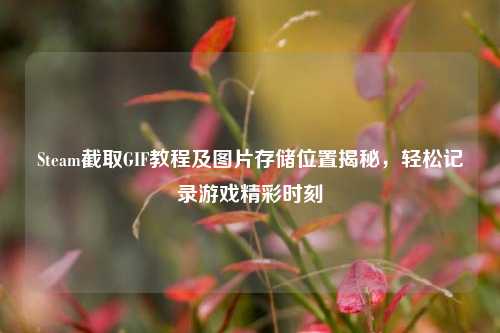 Steam截取GIF教程及图片存储位置揭秘,轻松记录游戏精彩时刻
