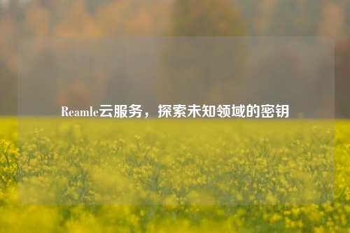 Reamle云服务,探索未知领域的密钥
