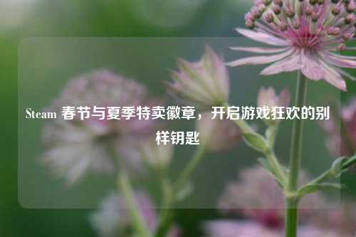 Steam 春节与夏季特卖徽章，开启游戏狂欢的别样钥匙