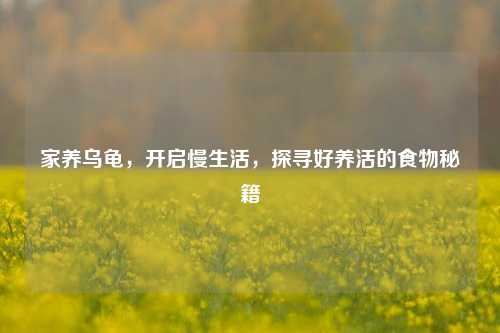 家养乌龟,开启慢生活,探寻好养活的食物秘籍