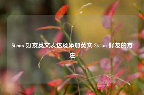 Steam 好友英文表达及添加英文 Steam 好友的 ***