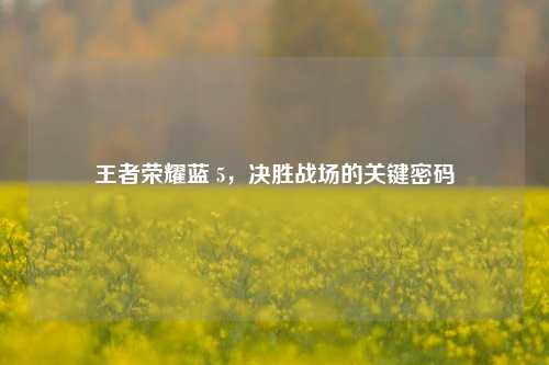 王者荣耀蓝 5，决胜战场的关键密码