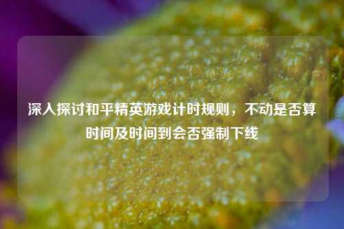 深入探讨和平精英游戏计时规则,不动是否算时间及时间到会否强制下线