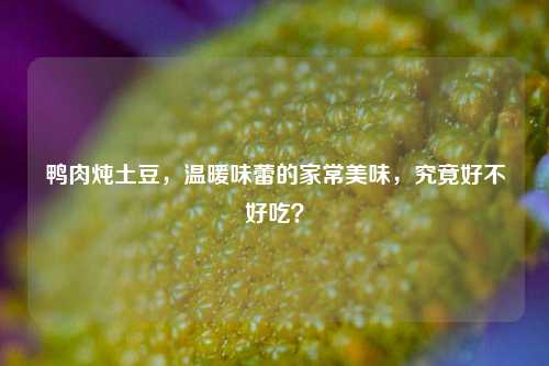 鸭肉炖土豆,温暖味蕾的家常美味,究竟好不好吃?