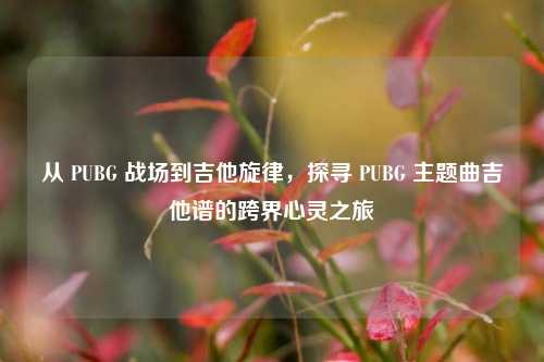 从 PUBG 战场到吉他旋律,探寻 PUBG 主题曲吉他谱的跨界心灵之旅
