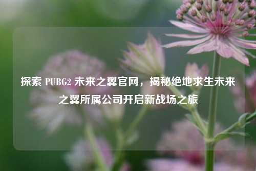 探索 PUBG2 未来之翼官网,揭秘绝地求生未来之翼所属公司开启新战场之旅