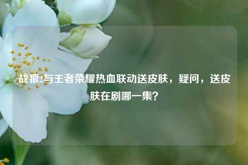 战狼2与王者荣耀热血联动送皮肤，疑问，送皮肤在剧哪一集？