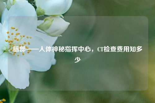 脑部——人体神秘指挥中心,CT检查费用知多少
