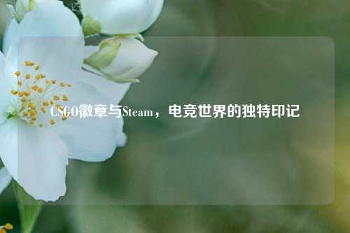 CSGO徽章与Steam，电竞世界的独特印记