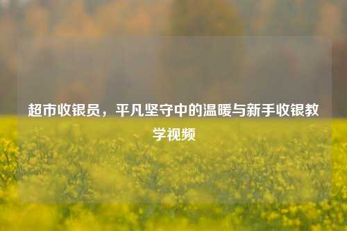 超市收银员,平凡坚守中的温暖与新手收银教学视频