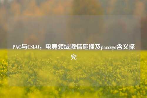 PAC与CSGO,电竞领域***碰撞及paccsgo含义探究