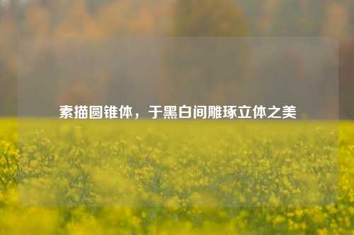 素描圆锥体,于黑白间雕琢立体之美