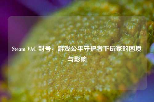 Steam VAC 封号，游戏公平守护者下玩家的困境与影响