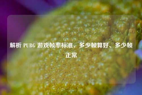 解析 PUBG 游戏帧率标准,多少帧算好、多少帧正常