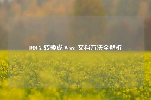 DOCX 转换成 Word 文档 *** 全解析