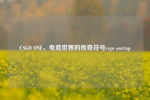 CSGO ONE,电竞世界的传奇符号csgo onetap