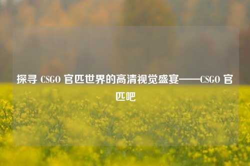 探寻 CSGO 官匹世界的高清视觉盛宴——CSGO 官匹吧