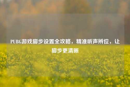 PUBG游戏脚步设置全攻略,精准听声辨位,让脚步更清晰