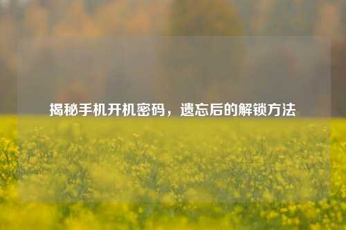 揭秘手机开机密码，遗忘后的解锁 *** 