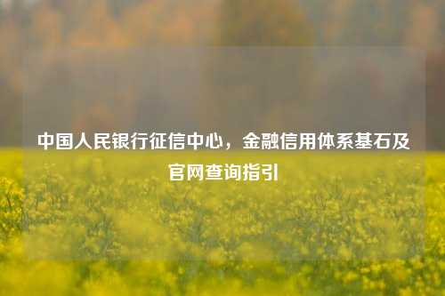 中国人民银行征信中心,金融信用体系基石及官网查询指引
