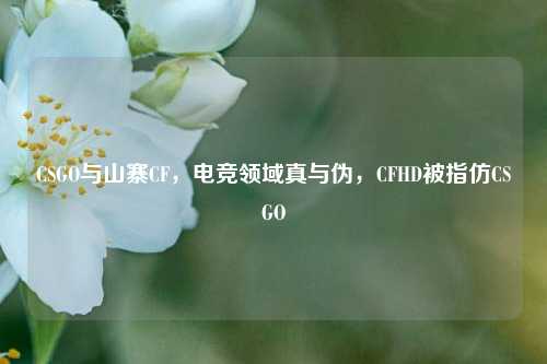 CSGO与山寨CF，电竞领域真与伪，CFHD被指仿CSGO